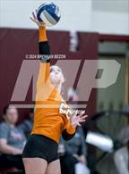 Photo from the gallery "Avon @ Le Roy"