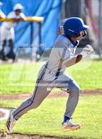 Photo from the gallery "Charter Oak @ Walnut"