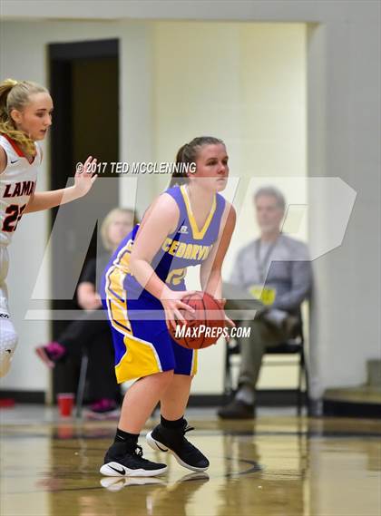 Thumbnail 3 in Lamar vs. Cedarville (AAA 3A Regional Playoff) photogallery.