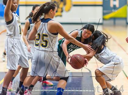 Thumbnail 3 in Palo Alto @ Milpitas photogallery.