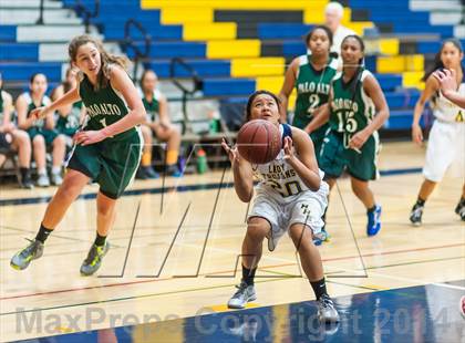 Thumbnail 1 in Palo Alto @ Milpitas photogallery.
