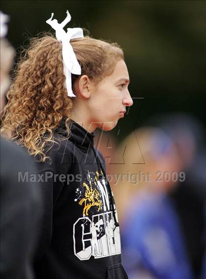 Thumbnail 1 in Nanuet @ Pearl River (Brown Jug) photogallery.