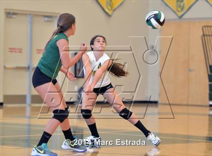 Thumbnail 3 in Carrollwood Day vs Shorecrest  photogallery.