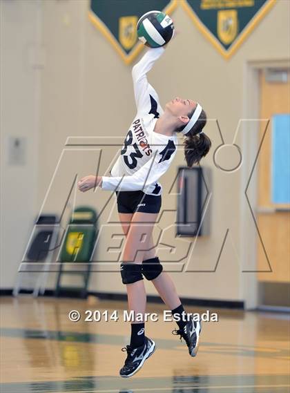 Thumbnail 2 in Carrollwood Day vs Shorecrest  photogallery.