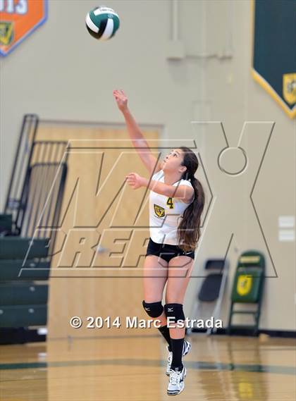 Thumbnail 2 in Carrollwood Day vs Shorecrest  photogallery.