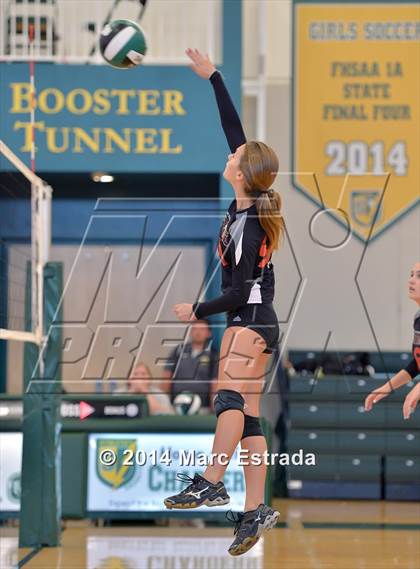 Thumbnail 1 in Carrollwood Day vs Shorecrest  photogallery.