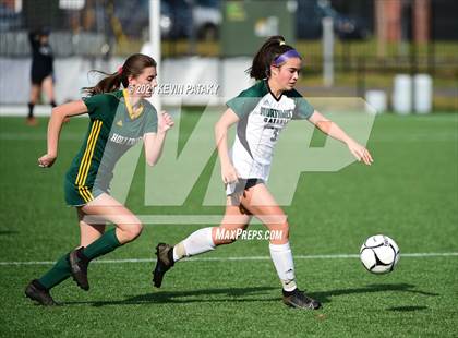 Thumbnail 1 in Northwest Catholic vs. Holy Cross (CIAC Class S Final) photogallery.