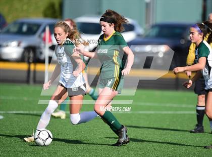 Thumbnail 2 in Northwest Catholic vs. Holy Cross (CIAC Class S Final) photogallery.