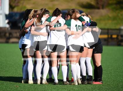 Thumbnail 1 in Northwest Catholic vs. Holy Cross (CIAC Class S Final) photogallery.
