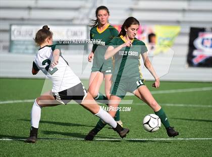 Thumbnail 3 in Northwest Catholic vs. Holy Cross (CIAC Class S Final) photogallery.