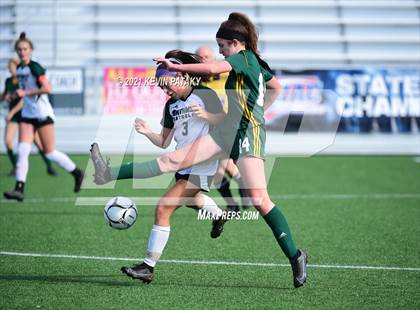 Thumbnail 2 in Northwest Catholic vs. Holy Cross (CIAC Class S Final) photogallery.