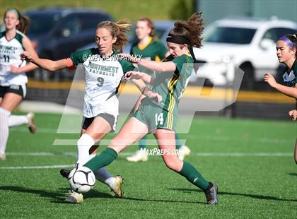 Thumbnail 2 in Northwest Catholic vs. Holy Cross (CIAC Class S Final) photogallery.