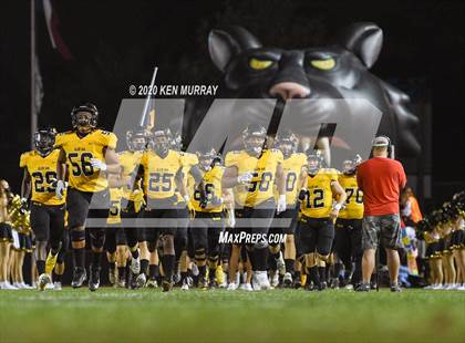 Thumbnail 3 in Klein vs Klein Oak photogallery.