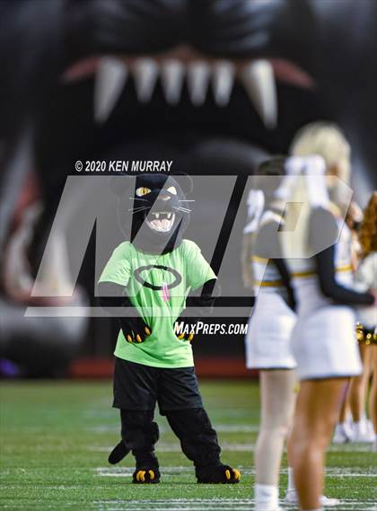 Thumbnail 1 in Klein vs Klein Oak photogallery.