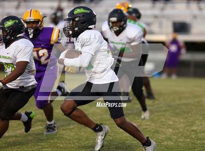Thumbnail 2 in Lake Cormorant @ DeSoto Central photogallery.