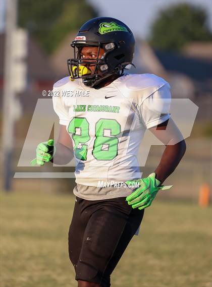 Thumbnail 2 in Lake Cormorant @ DeSoto Central photogallery.