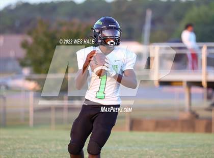 Thumbnail 3 in Lake Cormorant @ DeSoto Central photogallery.