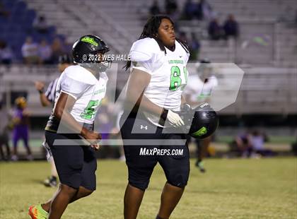 Thumbnail 2 in Lake Cormorant @ DeSoto Central photogallery.