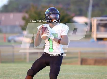Thumbnail 1 in Lake Cormorant @ DeSoto Central photogallery.