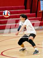 Photo from the gallery "Laguna Creek @ McClatchy"