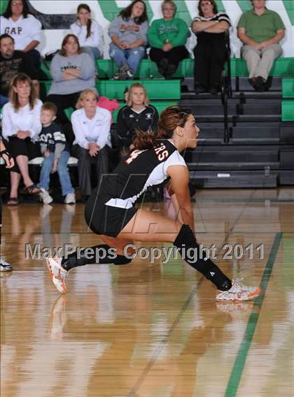 Thumbnail 1 in Webster @ Siren photogallery.