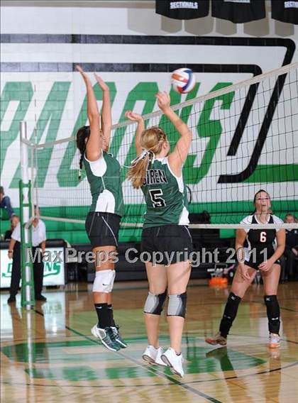 Thumbnail 1 in Webster @ Siren photogallery.