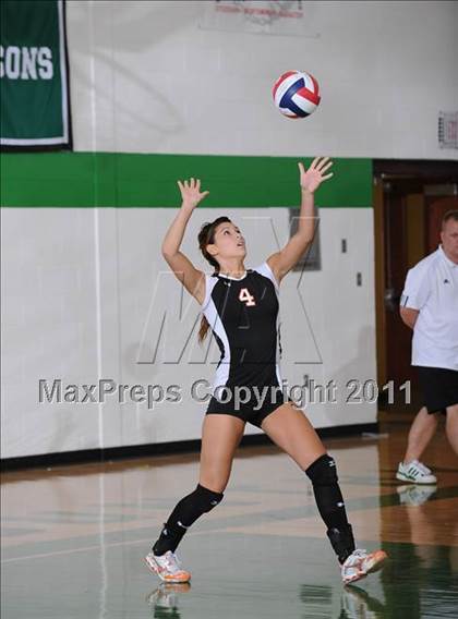 Thumbnail 1 in Webster @ Siren photogallery.