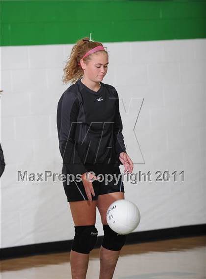 Thumbnail 1 in Webster @ Siren photogallery.