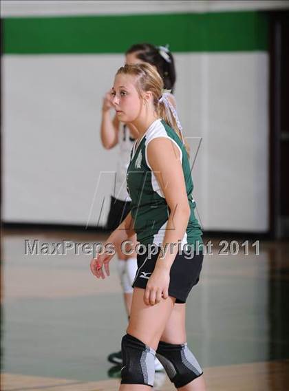 Thumbnail 2 in Webster @ Siren photogallery.