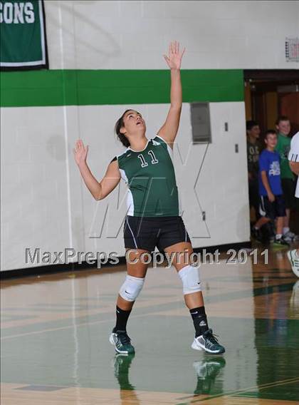 Thumbnail 2 in Webster @ Siren photogallery.