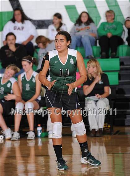 Thumbnail 1 in Webster @ Siren photogallery.