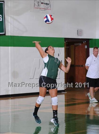 Thumbnail 1 in Webster @ Siren photogallery.