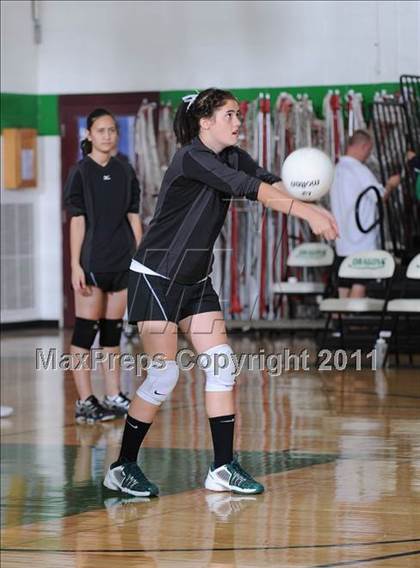 Thumbnail 1 in Webster @ Siren photogallery.