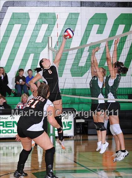 Thumbnail 2 in Webster @ Siren photogallery.