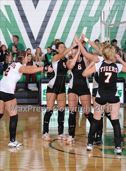 Thumbnail 1 in Webster @ Siren photogallery.