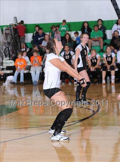 Thumbnail 1 in Webster @ Siren photogallery.