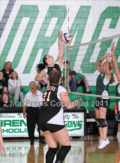 Thumbnail 2 in Webster @ Siren photogallery.