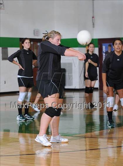 Thumbnail 3 in Webster @ Siren photogallery.