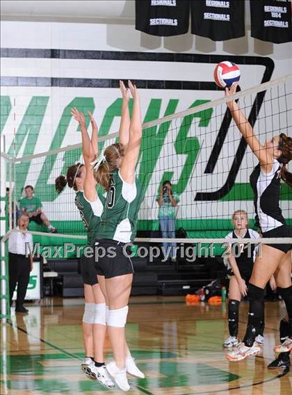 Thumbnail 2 in Webster @ Siren photogallery.