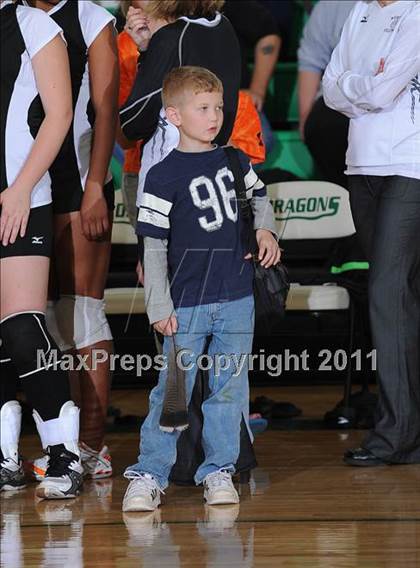 Thumbnail 1 in Webster @ Siren photogallery.