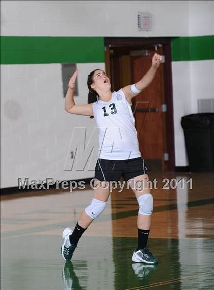 Thumbnail 3 in Webster @ Siren photogallery.