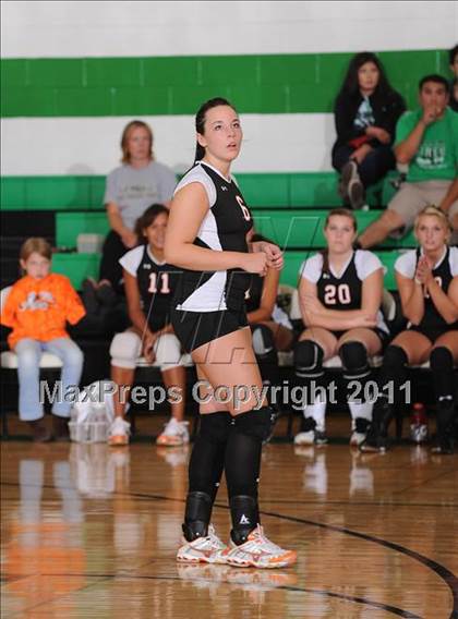 Thumbnail 3 in Webster @ Siren photogallery.