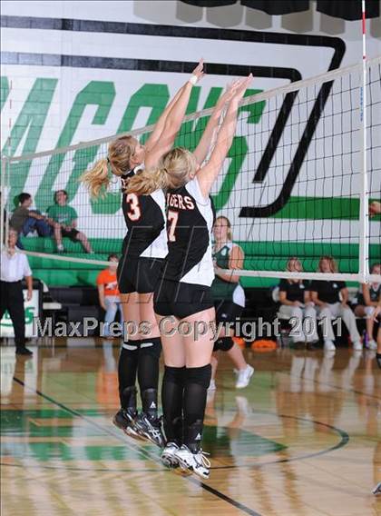 Thumbnail 2 in Webster @ Siren photogallery.