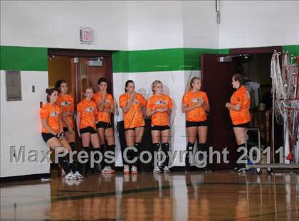 Thumbnail 1 in Webster @ Siren photogallery.