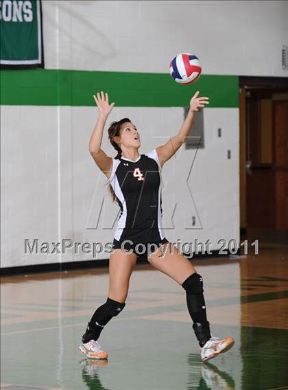 Thumbnail 2 in Webster @ Siren photogallery.