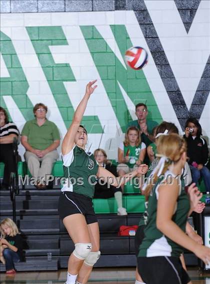 Thumbnail 1 in Webster @ Siren photogallery.