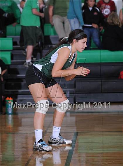 Thumbnail 3 in Webster @ Siren photogallery.