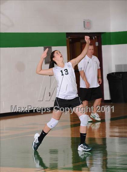 Thumbnail 3 in Webster @ Siren photogallery.