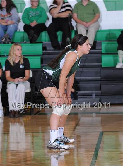 Thumbnail 3 in Webster @ Siren photogallery.