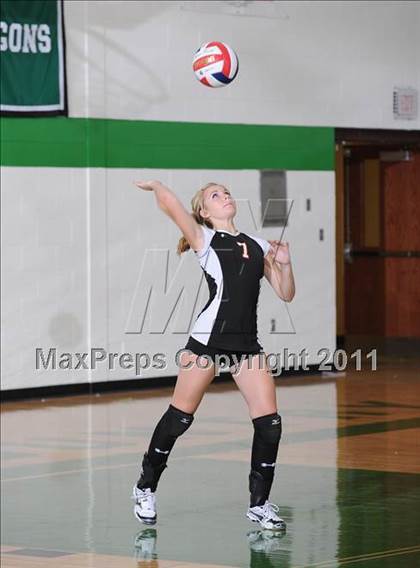 Thumbnail 1 in Webster @ Siren photogallery.